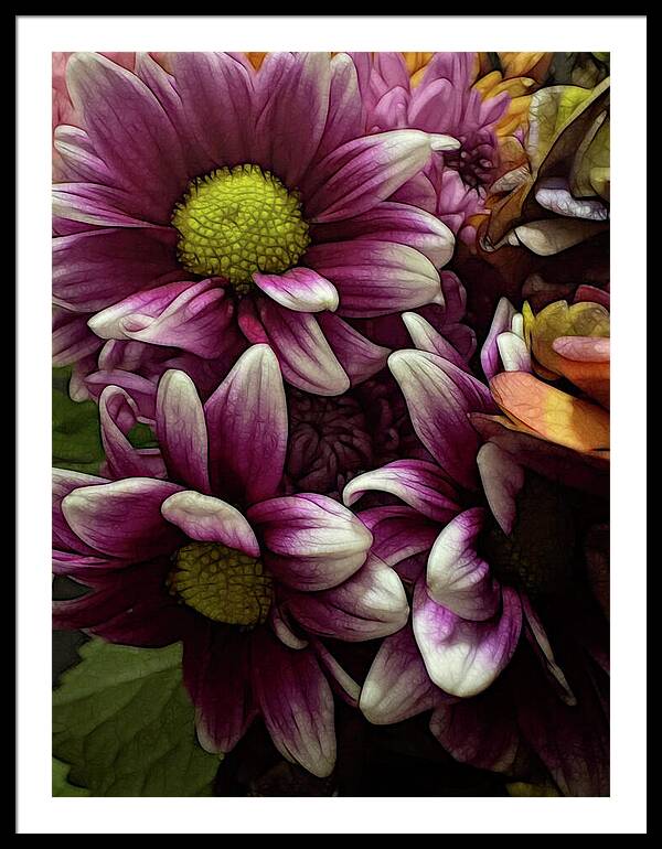 October Flowers 7 - Framed Print