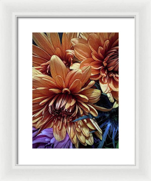 October Flowers 8 Vibrant Orange Flowers Close-Up - Framed Print