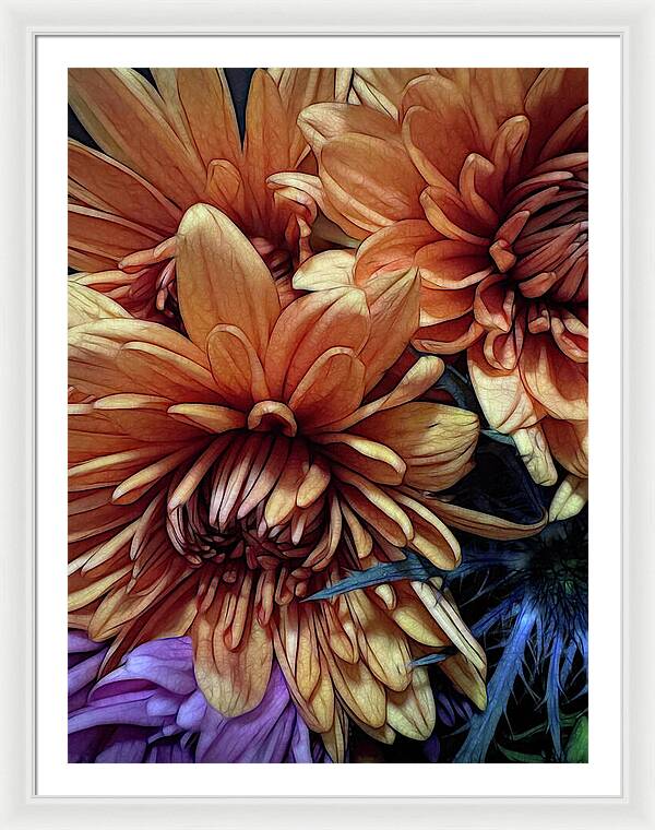 October Flowers 8 Vibrant Orange Flowers Close-Up - Framed Print