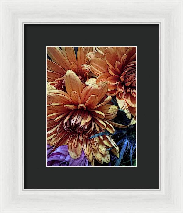 October Flowers 8 Vibrant Orange Flowers Close-Up - Framed Print