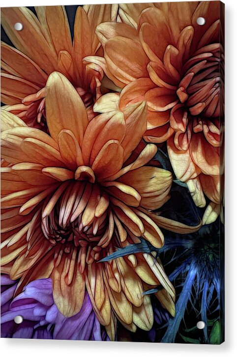 October Flowers 8 Vibrant Orange Flowers Close-Up - Acrylic Print