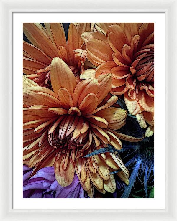 October Flowers 8 Vibrant Orange Flowers Close-Up - Framed Print