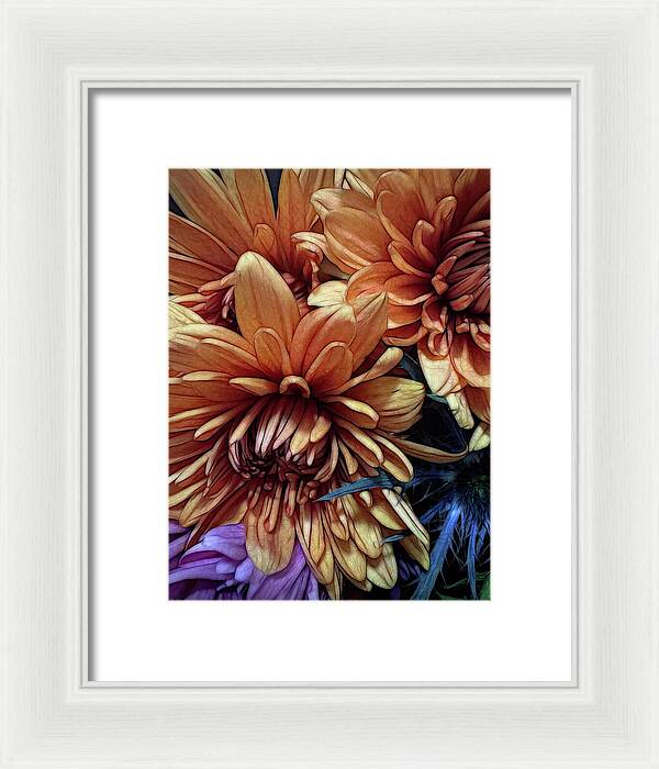 October Flowers 8 Vibrant Orange Flowers Close-Up - Framed Print