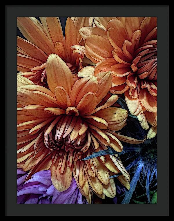October Flowers 8 Vibrant Orange Flowers Close-Up - Framed Print