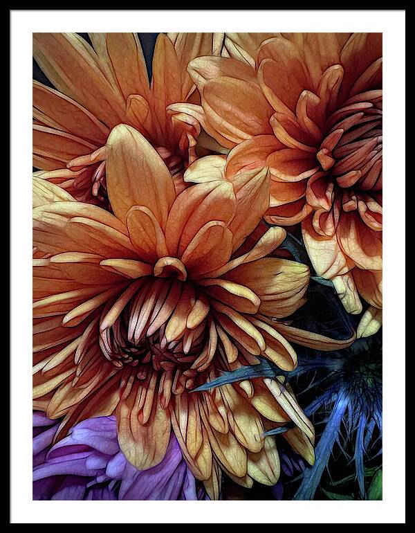 October Flowers 8 Vibrant Orange Flowers Close-Up - Framed Print