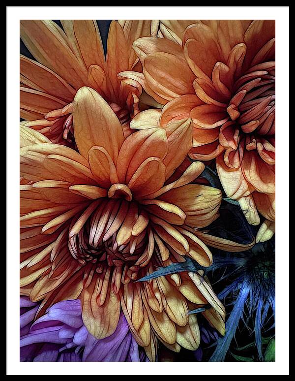 October Flowers 8 Vibrant Orange Flowers Close-Up - Framed Print