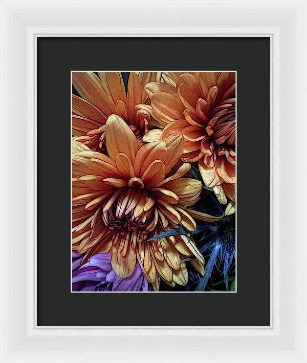 October Flowers 8 Vibrant Orange Flowers Close-Up - Framed Print