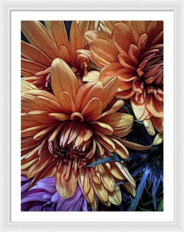 October Flowers 8 Vibrant Orange Flowers Close-Up - Framed Print