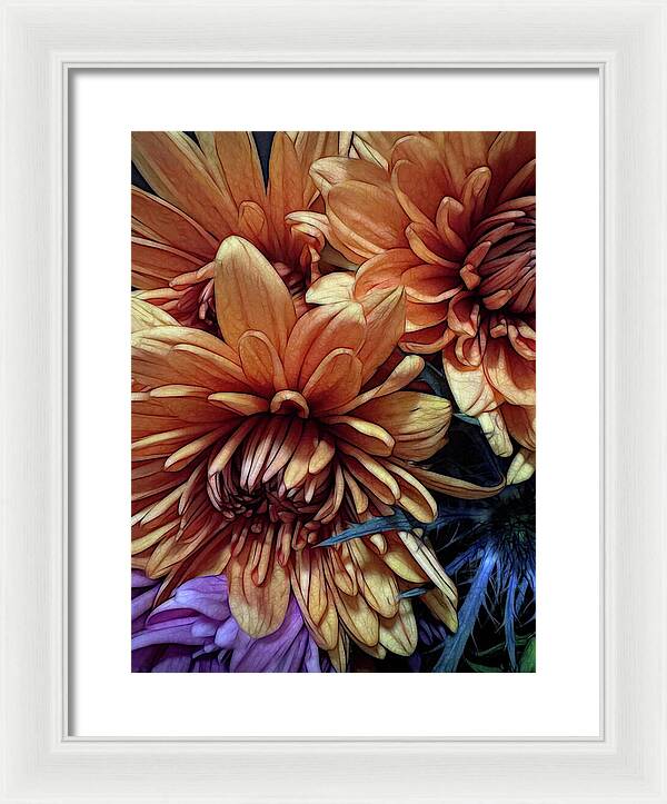 October Flowers 8 Vibrant Orange Flowers Close-Up - Framed Print
