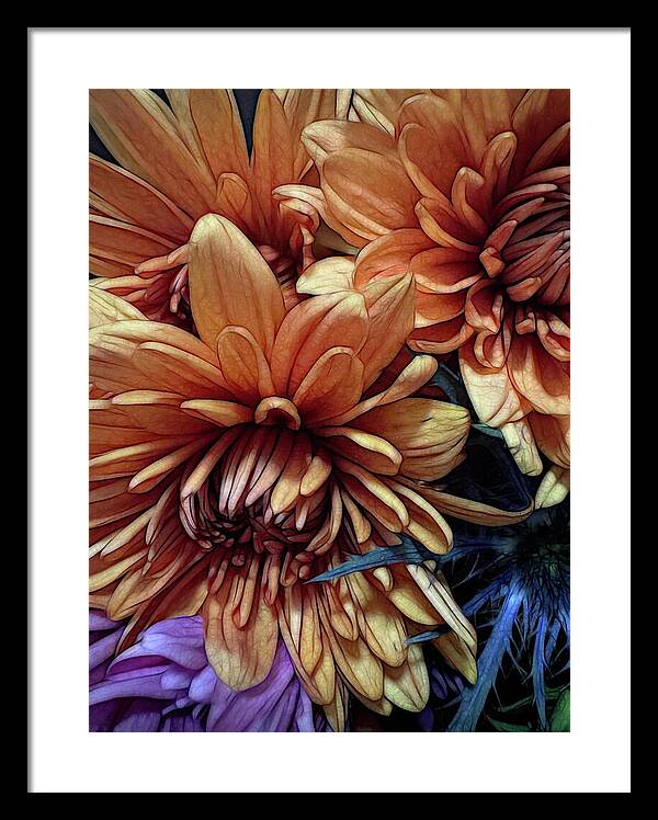 October Flowers 8 Vibrant Orange Flowers Close-Up - Framed Print