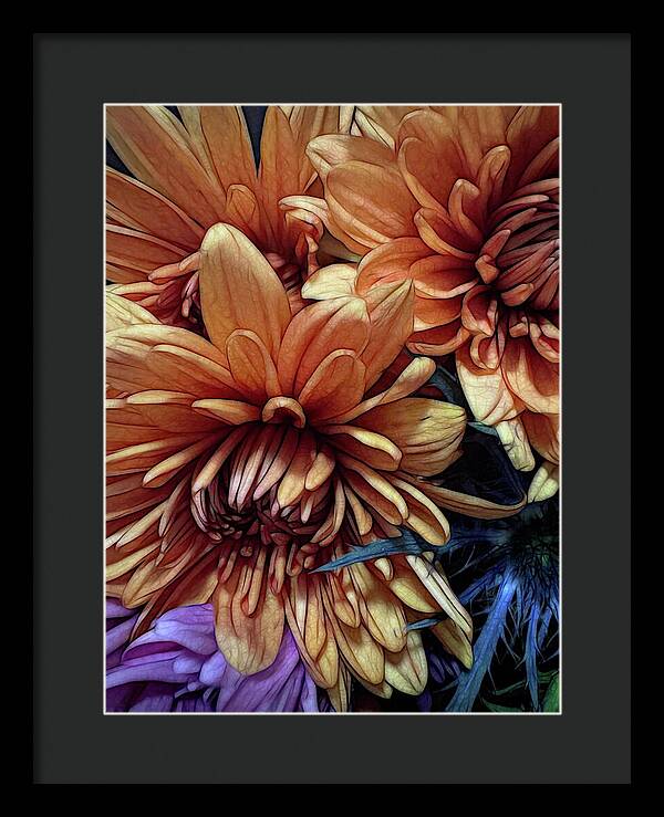 October Flowers 8 Vibrant Orange Flowers Close-Up - Framed Print