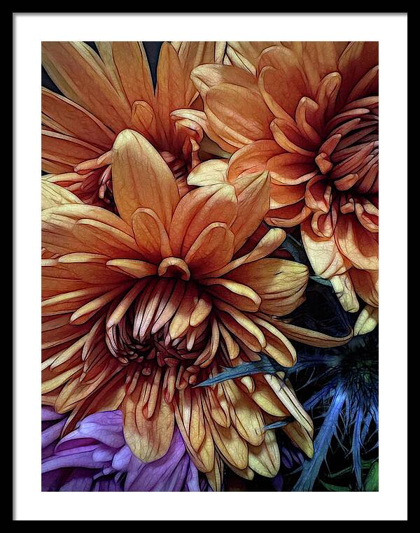 October Flowers 8 Vibrant Orange Flowers Close-Up - Framed Print