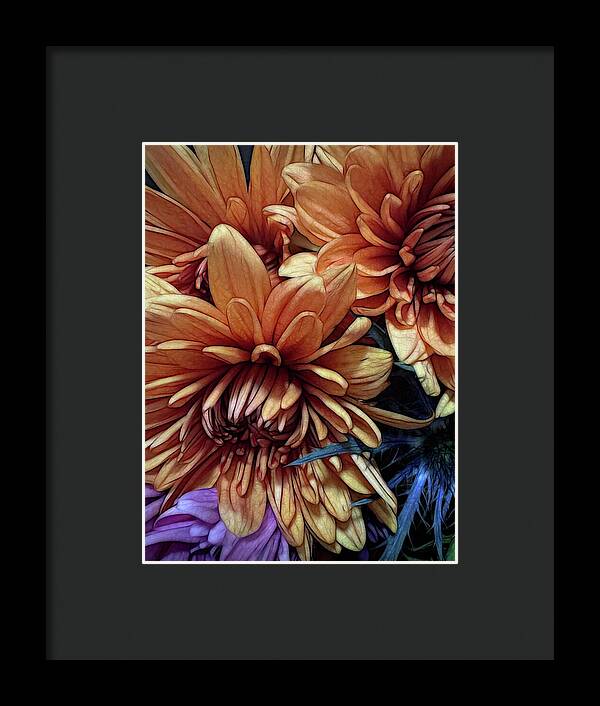 October Flowers 8 Vibrant Orange Flowers Close-Up - Framed Print