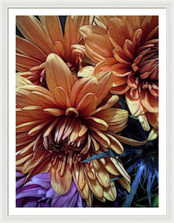 October Flowers 8 Vibrant Orange Flowers Close-Up - Framed Print