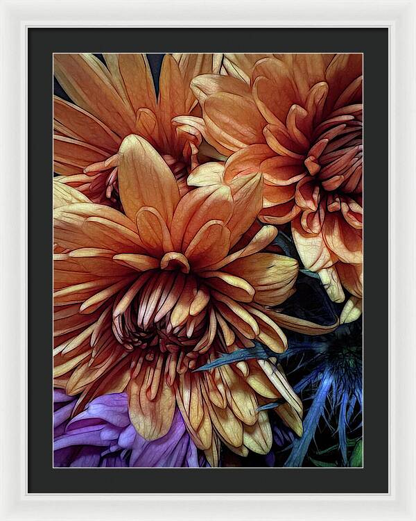 October Flowers 8 Vibrant Orange Flowers Close-Up - Framed Print