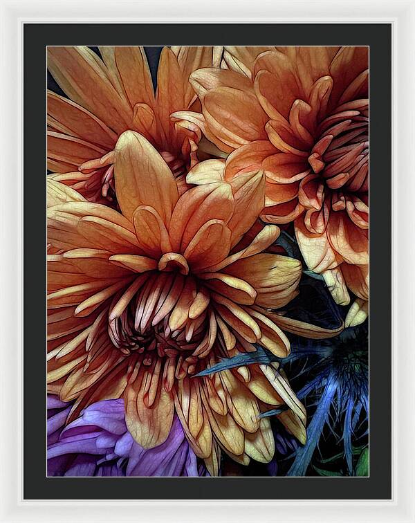 October Flowers 8 Vibrant Orange Flowers Close-Up - Framed Print
