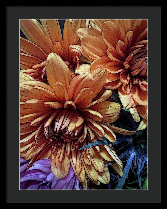 October Flowers 8 Vibrant Orange Flowers Close-Up - Framed Print