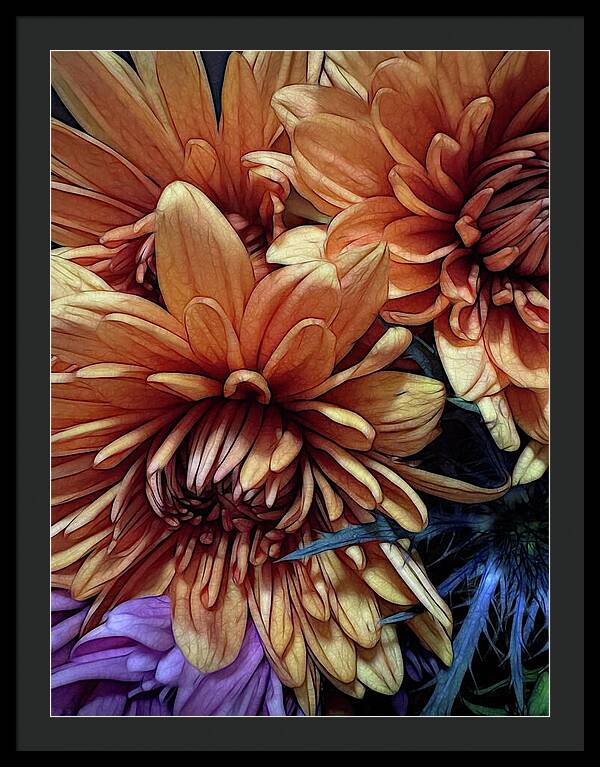 October Flowers 8 Vibrant Orange Flowers Close-Up - Framed Print