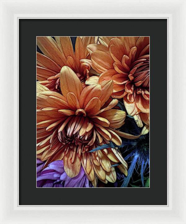 October Flowers 8 Vibrant Orange Flowers Close-Up - Framed Print
