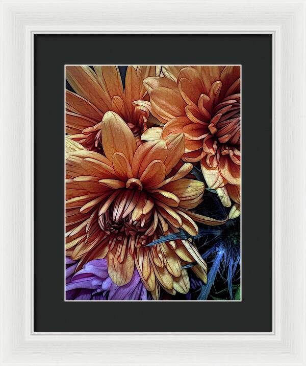 October Flowers 8 Vibrant Orange Flowers Close-Up - Framed Print