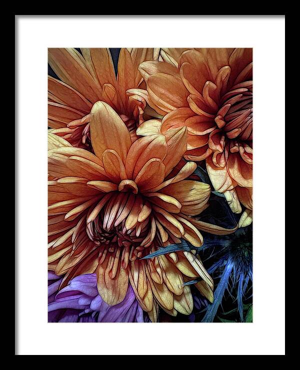 October Flowers 8 Vibrant Orange Flowers Close-Up - Framed Print