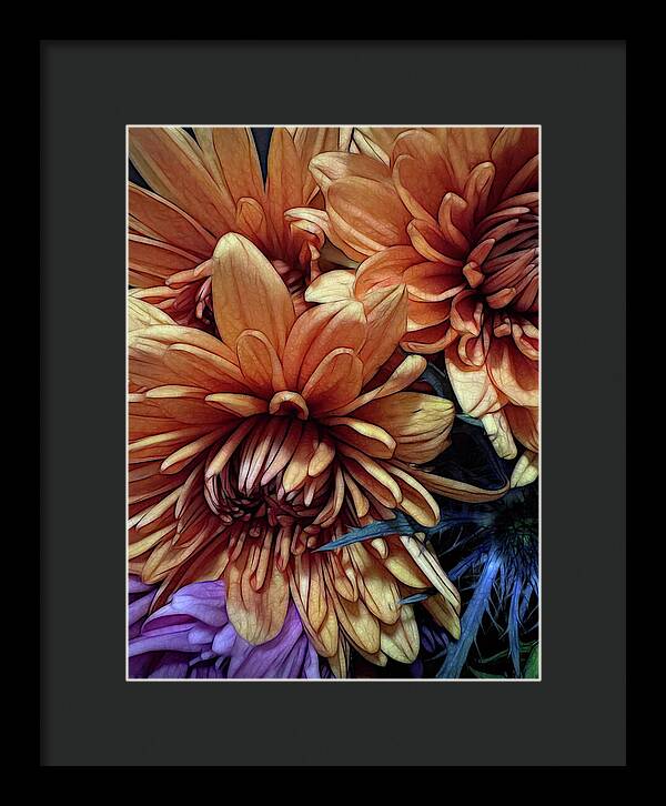 October Flowers 8 Vibrant Orange Flowers Close-Up - Framed Print