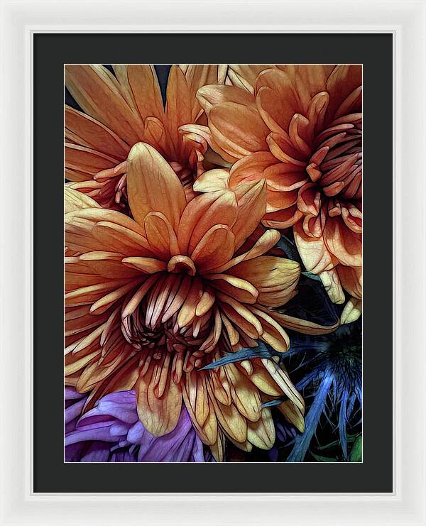 October Flowers 8 Vibrant Orange Flowers Close-Up - Framed Print