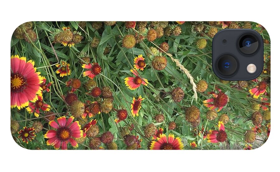 Orange Flower Garden - Phone Case
