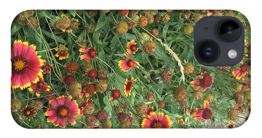 Orange Flower Garden - Phone Case
