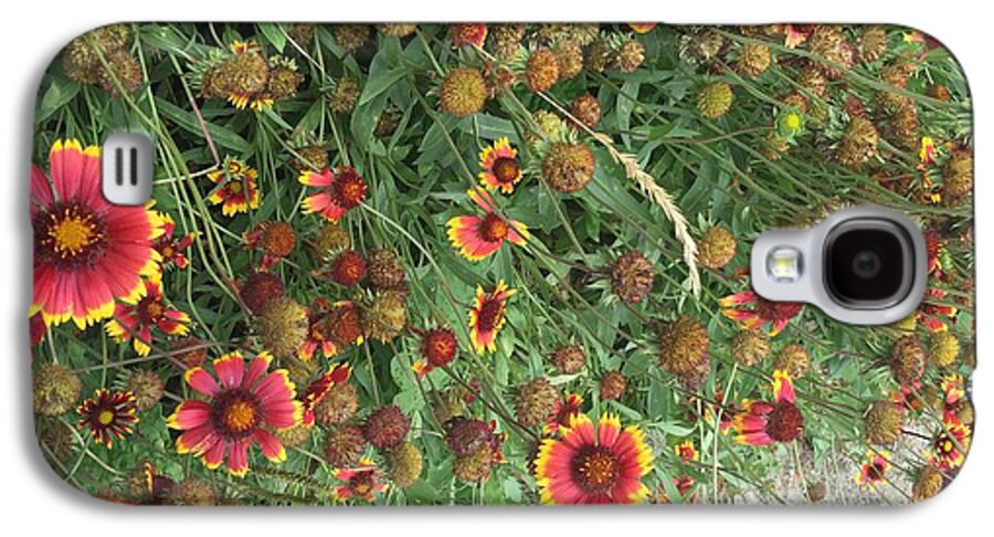 Orange Flower Garden - Phone Case