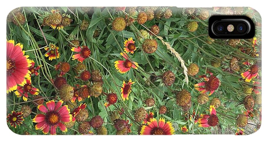 Orange Flower Garden - Phone Case