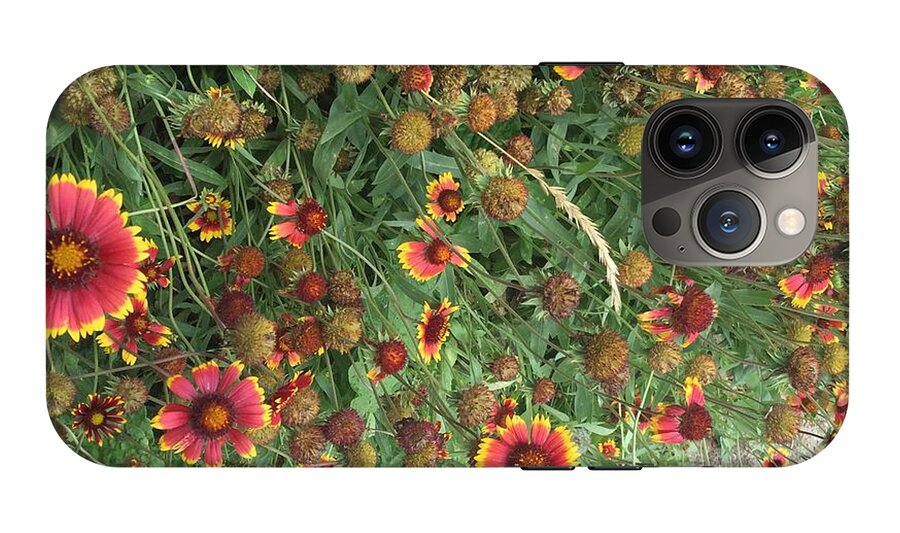Orange Flower Garden - Phone Case