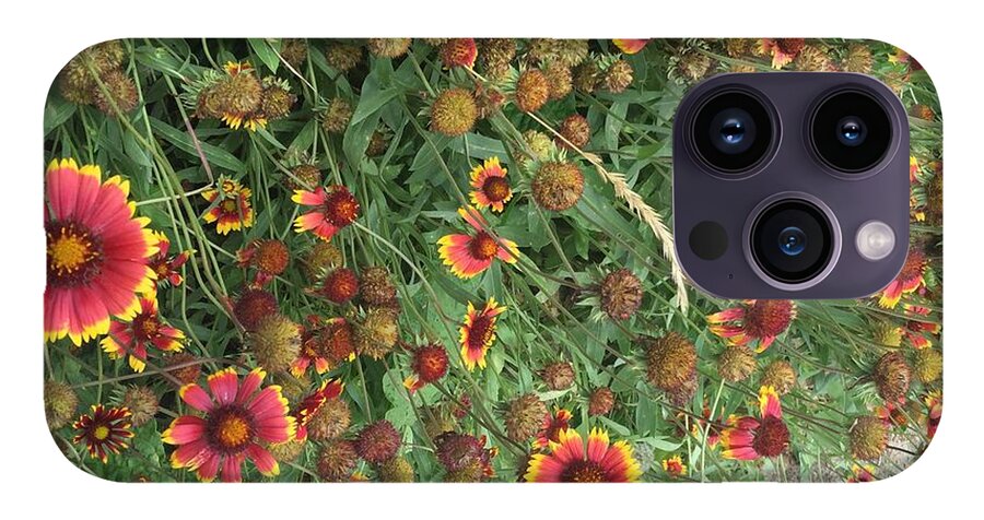 Orange Flower Garden - Phone Case