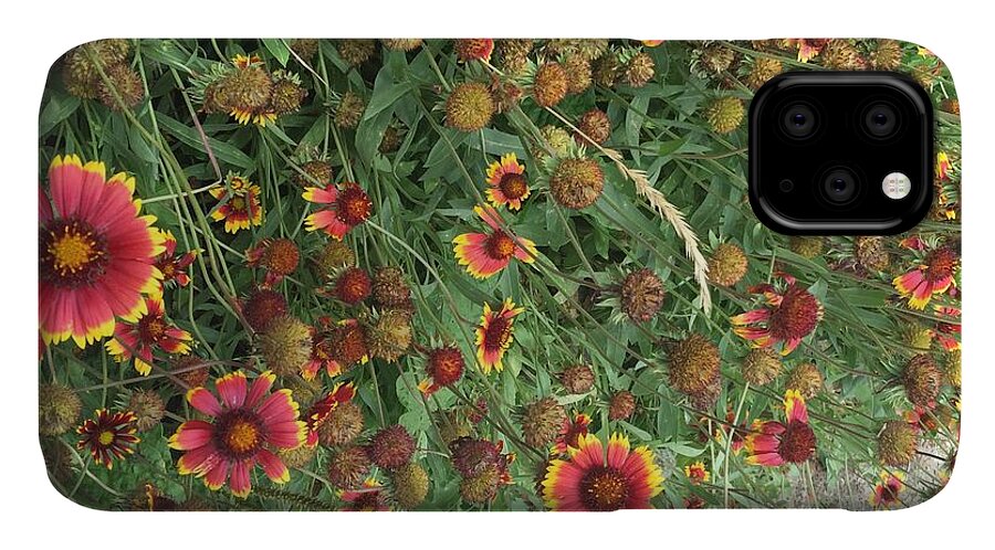 Orange Flower Garden - Phone Case