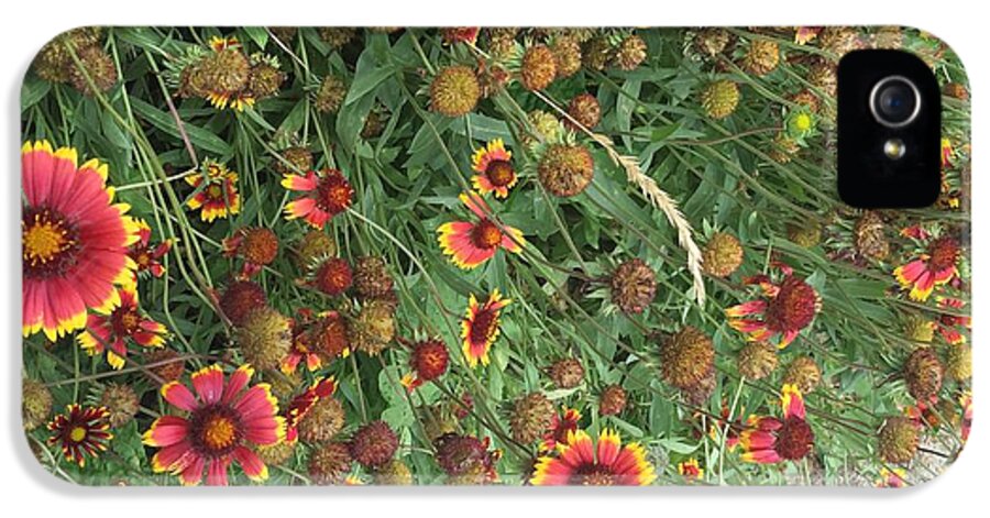 Orange Flower Garden - Phone Case