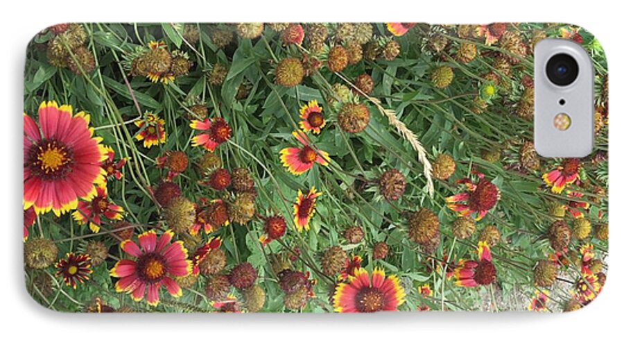 Orange Flower Garden - Phone Case