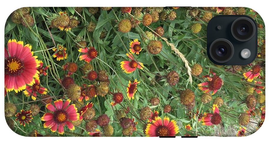 Orange Flower Garden - Phone Case