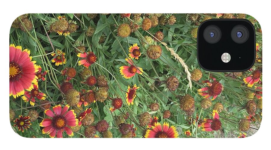 Orange Flower Garden - Phone Case