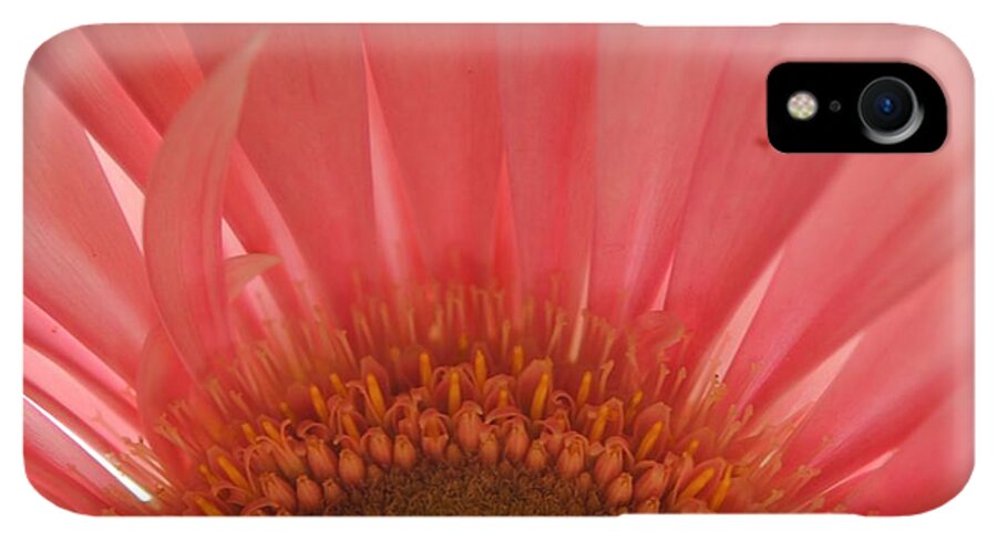 Pastel Pink and Yellow Daisy Center - Phone Case