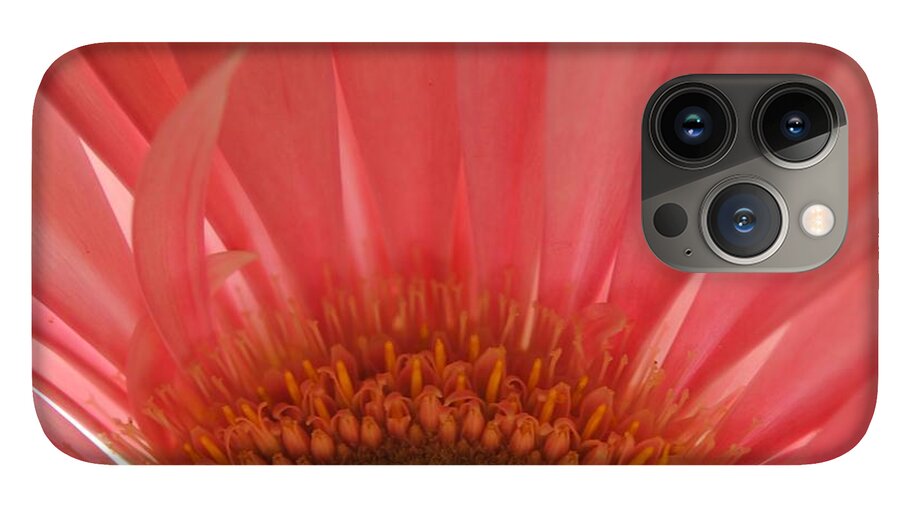 Pastel Pink and Yellow Daisy Center - Phone Case