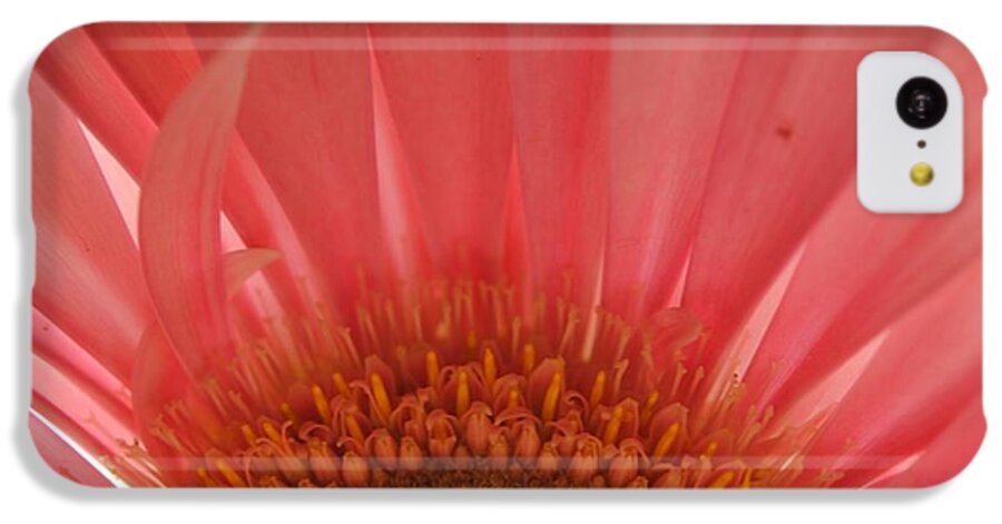 Pastel Pink and Yellow Daisy Center - Phone Case