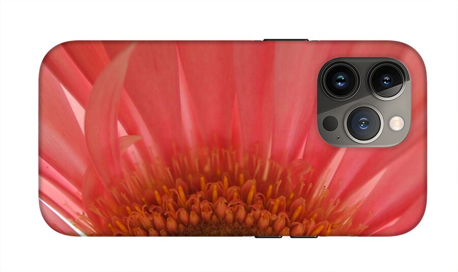 Pastel Pink and Yellow Daisy Center - Phone Case