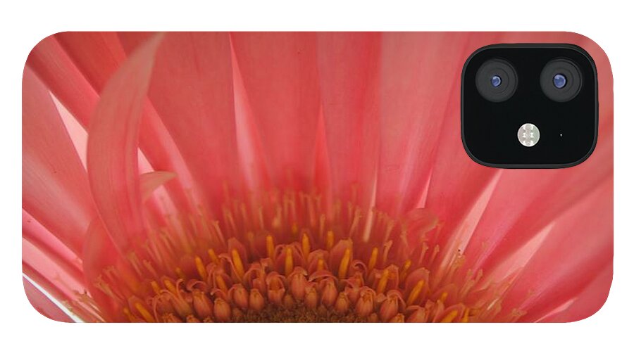 Pastel Pink and Yellow Daisy Center - Phone Case