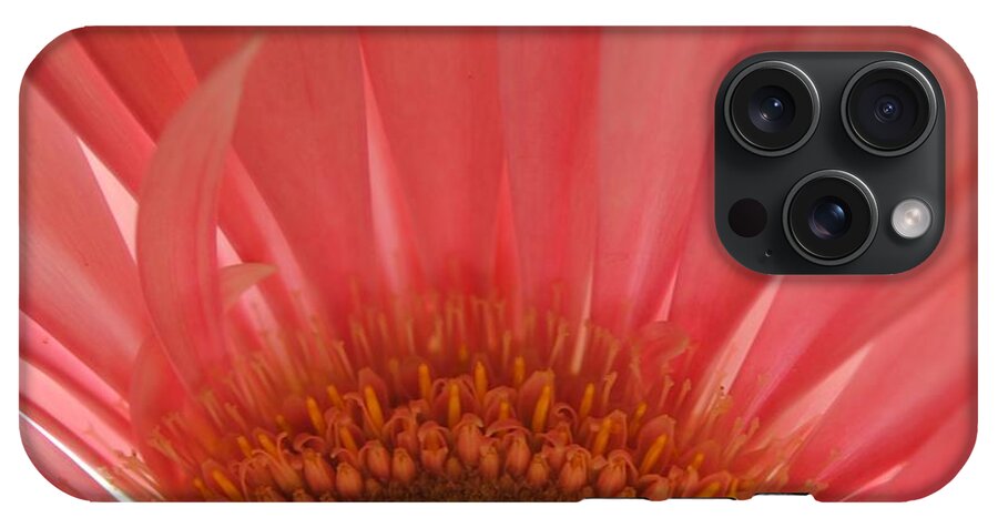 Pastel Pink and Yellow Daisy Center - Phone Case