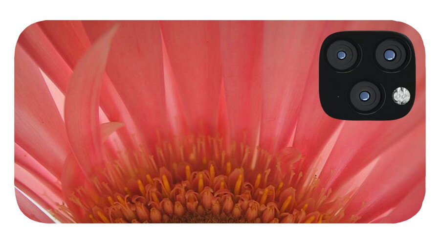 Pastel Pink and Yellow Daisy Center - Phone Case