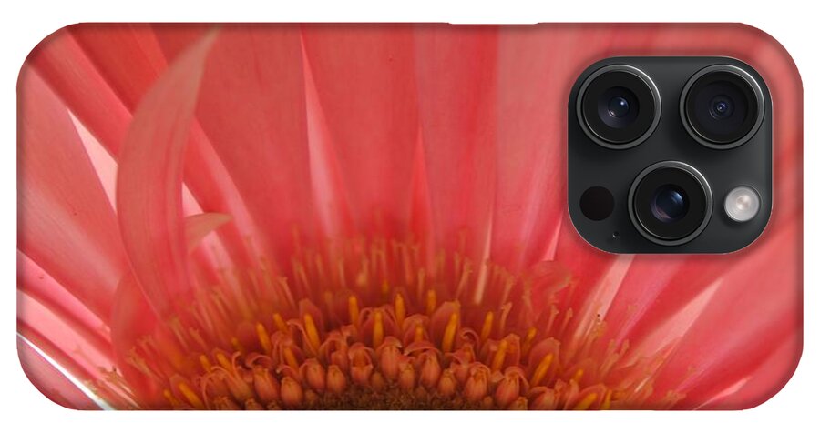 Pastel Pink and Yellow Daisy Center - Phone Case