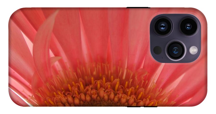 Pastel Pink and Yellow Daisy Center - Phone Case