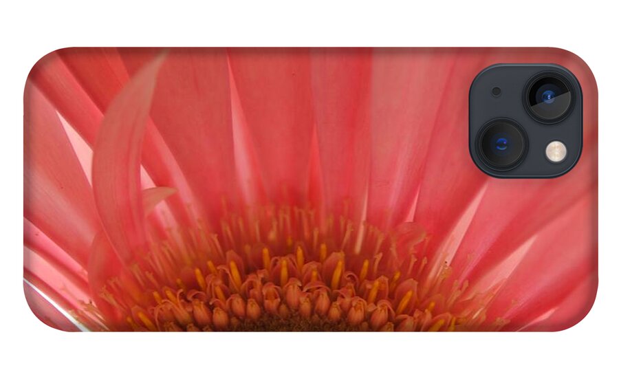 Pastel Pink and Yellow Daisy Center - Phone Case
