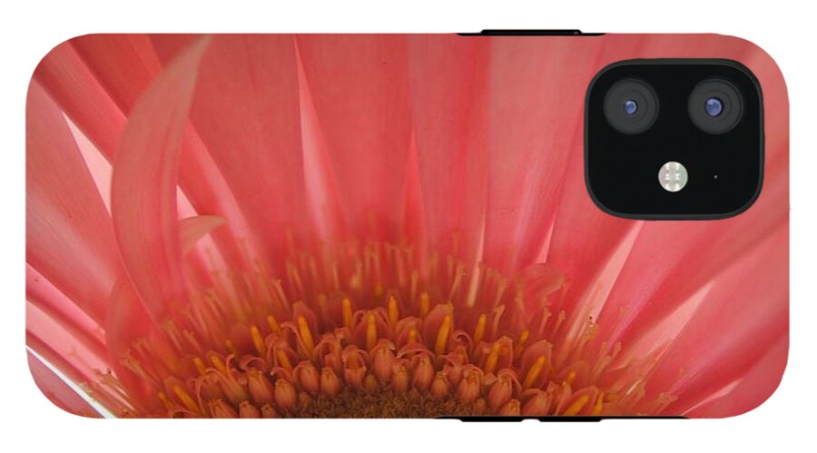 Pastel Pink and Yellow Daisy Center - Phone Case
