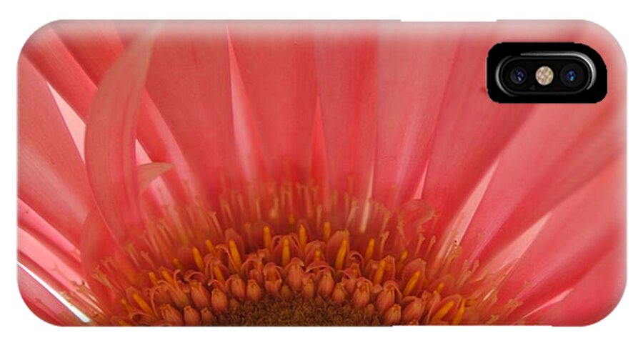 Pastel Pink and Yellow Daisy Center - Phone Case